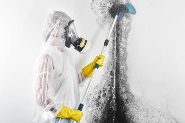 Best Indoor Air Quality Assessment  in Pine Lakes, FL