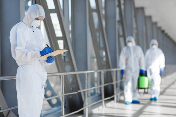 Best Asbestos and Lead Testing During Mold Inspection  in Pine Lakes, FL