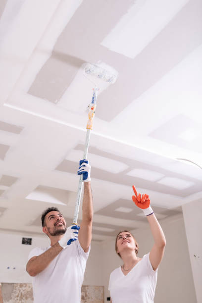  Pine Lakes, FL Mold Removal Pros