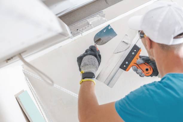 Professional Mold Removal in Pine Lakes, FL